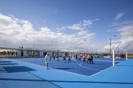 Image result for Newdigate Netball Club