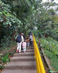 Image result for 水野X68仁義