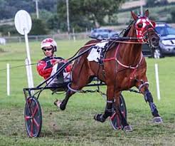 Image result for Ayr Riding Club