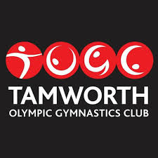 Image result for Haverfordwest Gymnastics Club