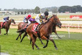 Image result for Thoroughbreds Netball Clubs