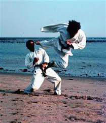 Image result for Nottingham Sankukai Karate