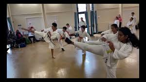Image result for Oxford Karate Institute