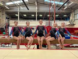 Image result for Forest Of Dean Gymnastics Club