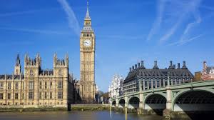 Image result for символ англии