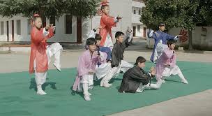 Image result for Kicking Dragon Kung Fu School, Belfast