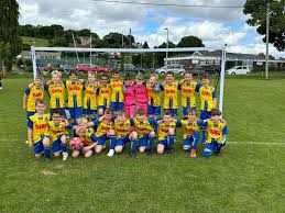 Image result for Llantwit Major Bowling Club