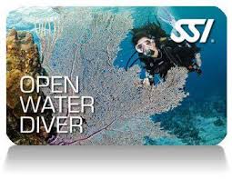 Image result for Looe Diving Club