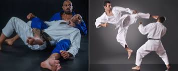 Image result for Komaru Ryu Small Circle Jujitsu/Karate
