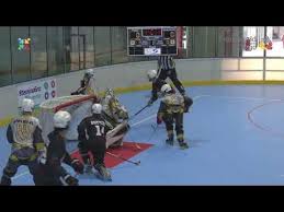Image result for Urban Knights Inline Roller Hockey