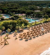 Image result for Rowledge Tennis Club