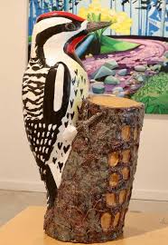 Image result for Sphyrapicus varius