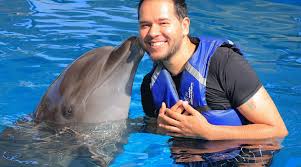 Image result for Adventure Dolphin