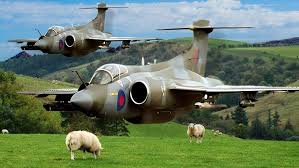 Image result for Blackburn Centurions Sc