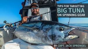 Image result for giant tuna