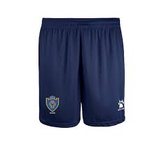 Image result for Matlock Cricket Club