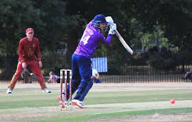 Image result for Witham Cricket Club