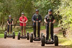 Image result for The Go Ape Experience (Delamere Forest)