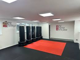 Image result for Martial Arts London