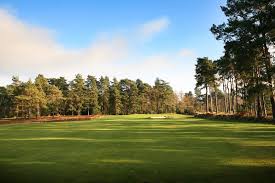 Image result for Blackmoor Golf Club
