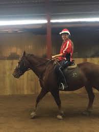 Image result for Uwe Riding Club