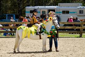 Image result for Huntingdon and District Riding Club
