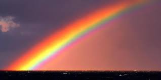 Attēlu rezultāti vaicājumam “Red Rainbows”