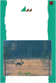 Attēlu rezultāti vaicājumam “Epirranthis diversata imago”