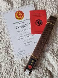 Image result for North West Chinese Kickboxing