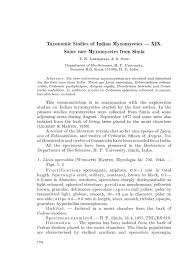 Attēlu rezultāti vaicājumam “Cribraria splendens”