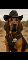 Image result for Carlisle BloodHounds