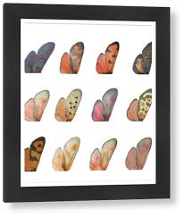 Attēlu rezultāti vaicājumam “Zygaena sp.”