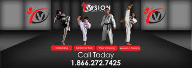 Image result for Vision Martial Arts