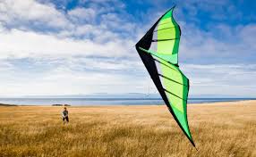 Image result for Mobius Flix Trick & Freestyle Kite Club