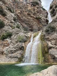 Attēlu rezultāti vaicājumam “Leporida”