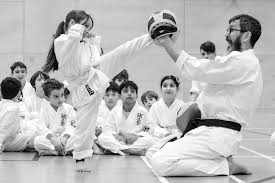 Image result for Aylesbury Vale Seido Karate