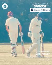 Image result for Gilberdyke Cricket Club