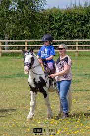 Image result for Bookham Riding School