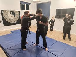 Image result for Scorpion Martial Arts Academy