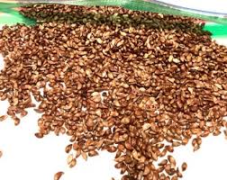 Attēlu rezultāti vaicājumam “Malus mandshurica fruit”