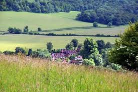 Image result for High Wycombe Cc