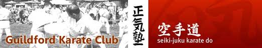 Image result for Seiki Juku Karate Club