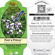 Image result for violet