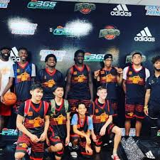 Image result for Henfield Heat Basketball Club