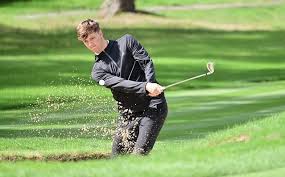 Image result for Romanby Golf Course