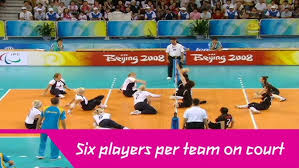 Image result for Nottingham Rockets Sitting Volleyball