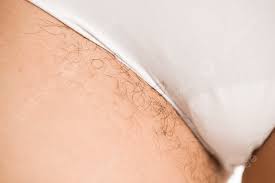 Image result for schamhaar