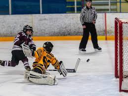 Image result for Halifax Octopush Club