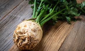 Image result for Sellerie