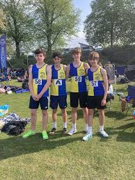 Image result for Wee County Harriers